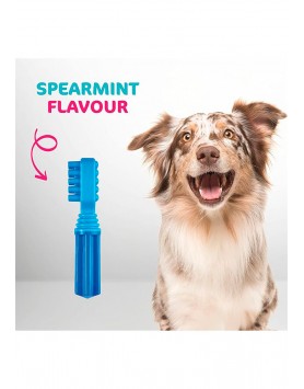 kiwipet-escova-dental-tastybone-cao-brinquedo-tastybrush-hortela-verde-detalhe