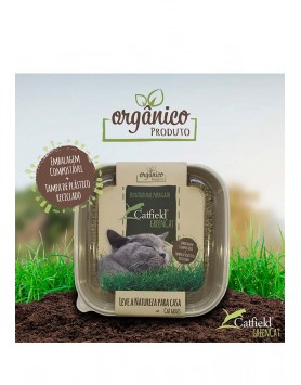 kiwipet-catfield-gato-80g-green-cat-erva-gateira-frente