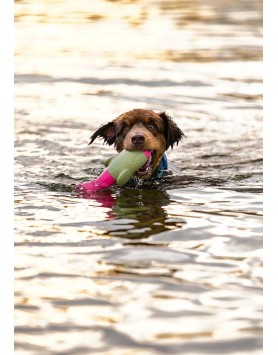 kiwipet-brinquedo-doog-cao-brinquedo-interacao-seals-rosa