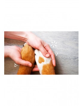 kiwipet-balsamo-pet-head-cao-40g-paw-butter-aroma-manteiga-de-aveia-cao