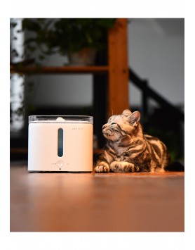 kiwipet-tecnologia-petkit-cao-fonte-de-agua-inteligente-frente-utilizacao