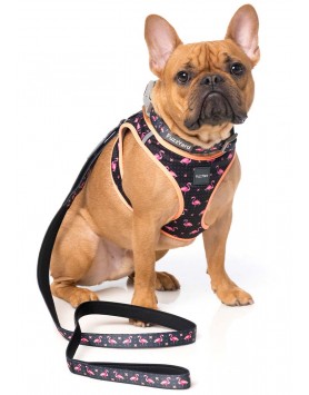kiwipet-coleira-fuzzyard-cao-neoprene-fabmingo-detalhe
