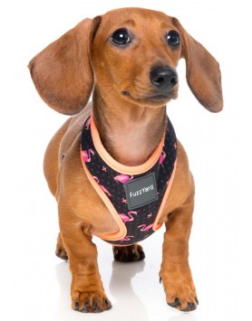 kiwipet-peitoral-fuzzyard-cao-fabmingo