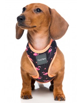 kiwipet-peitoral-fuzzyard-cao-step-in-fabmingo-frente