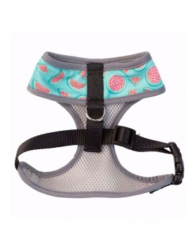 kiwipet-peitoral-fuzzyard-cao-summer-punch-tras