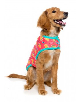 kiwipet-casaco-fuzzyard-cao-wrap-vest-hey-esse-pequeno
