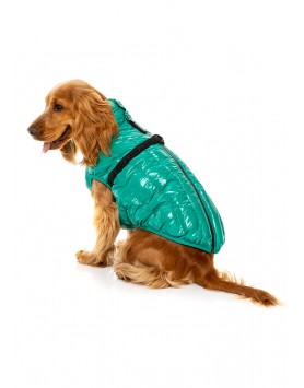 kiwipet-casaco-fuzzyard-cao-impermeavel-calabasas-sea-green-cao-lado