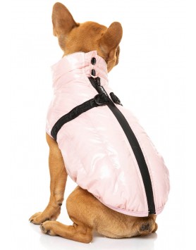 kiwipet-casaco-fuzzyard-cao-impermeavel-calabasas-cotton-candy-cao-pequeno-tras