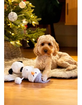 kiwipet-brinquedo-rosewood-cao-brinquedo-natal-boneco-neve-arvore