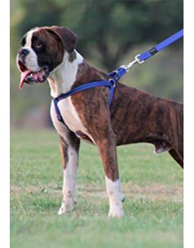 kiwipet-peitoral-rogz-cao-step-in-harness-azul