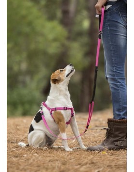 kiwipet-peitoral-rogz-cao-step-in-harness-rosa