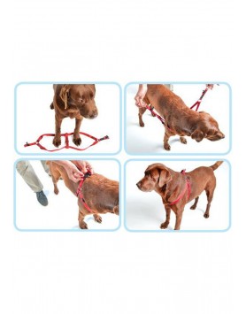 kiwipet-peitoral-rogz-cao-step-in-harness-detalhe