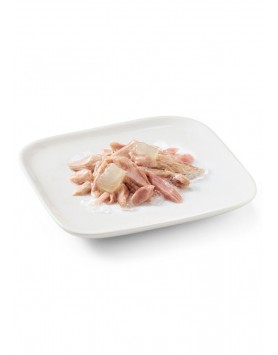 kiwipet-racao-schesir-cao-junior-150g-humida-atum-aloe-detalhe