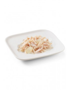 kiwipet-racao-schesir-cao-junior-150g-humida-frango-aloe-detalhe