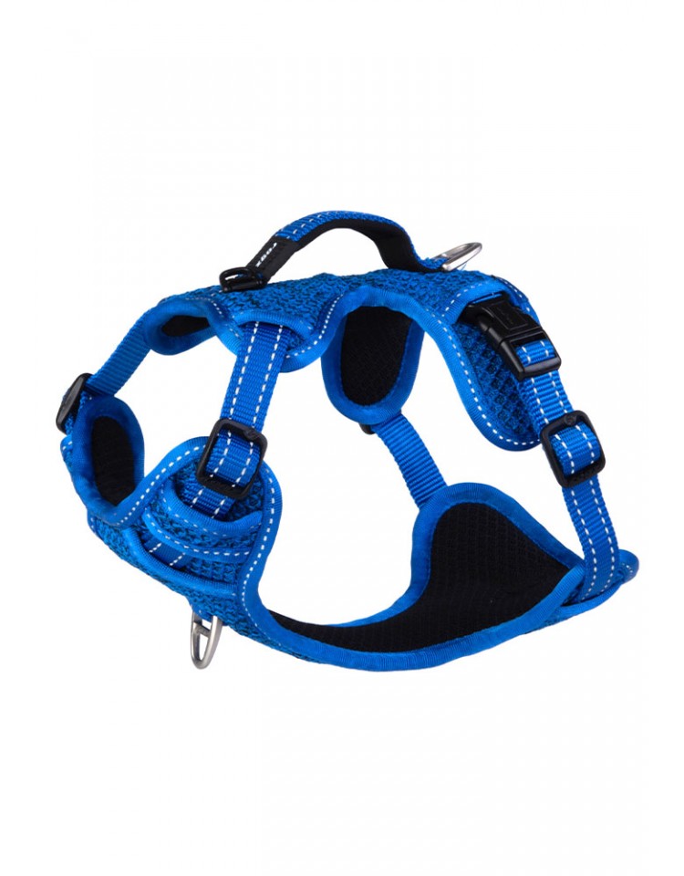 kiwipet-peitoral-rogz-cao-nitelife-s-azul
