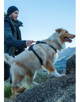 kiwipet-peitoral-rogz-cao-explore-harness-preto