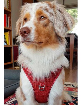 kiwipet-peitoral-rogz-cao-explore-harness-vermelho