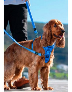 kiwipet-peitoral-rogz-cao-control-harness-azul