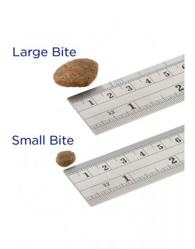 kiwipet-racao-fish4dogs-cao-seca-detalhe