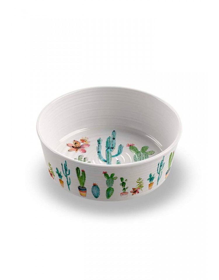 kiwipet-comedouro-tarhong-cao-gato-comedouro-bebedouro-friendly-cactus-m