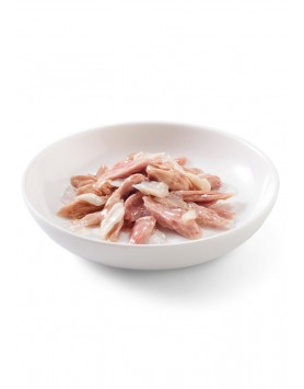 kiwipet-racao-schesir-gato-adulto-humida-70g-filete-gelatina-atum-pescada