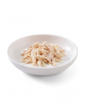 kiwipet-racao-schesir-gato-adulto-humida-70g-filete-gelatina-frango