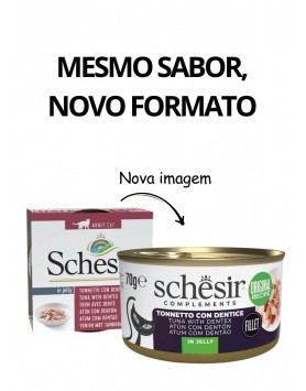 kiwipet-racao-schesir-gato-adulto-humida-70g-filete-gelatina-atum-dentao-detalhe