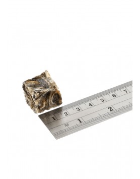 kiwipet-snack-fish4dogs-cao-dental-cubos-peixe-seco-detalhe