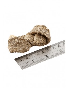 kiwipet-snack-fish4dogs-cao-dental-nos-peixe-seco-detalhe