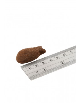 kiwipet-snack-fish4dogs-cao-suporte-pele-pelo-brilhante-pedacos-cavala-detalhe