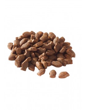 kiwipet-snack-fish4dogs-cao-junior-suporte-digestao-mini-pedacos-peixe-branco