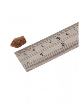 kiwipet-snack-fish4dogs-cao-junior-suporte-digestao-mini-pedacos-peixe-branco-detalhe