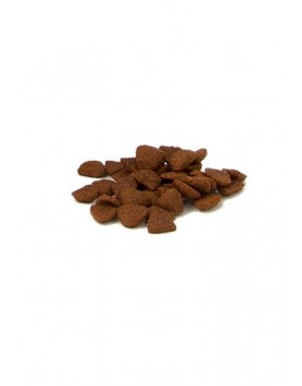 kiwipet-snack-fish4dogs-cao-treino-sardinha