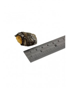 kiwipet-snack-fish4dogs-cao-banana-fish-wraps-detalhe