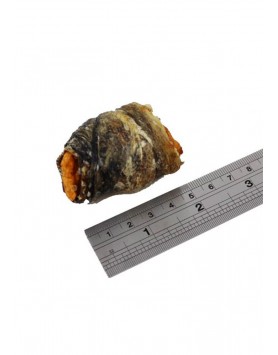 kiwipet-snack-fish4dogs-cao-maca-fish-wraps-detalhe
