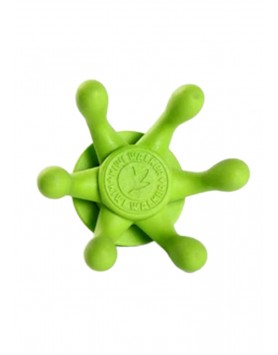 kiwipet-brinquedo-kiwi-walker-cao-polvo-verde-cima