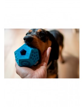 kiwipet-brinquedo-kiwi-walker-cao-dodecaball-detalhe