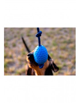 kiwipet-brinquedo-kiwi-walker-cao-egg-utilizacao