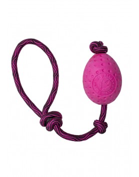 kiwipet-brinquedo-kiwi-walker-cao-egg-rosa