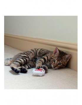 kiwipet-rosewood-gato-xmas-crazy-catnip-christmas-faces-utilizacao