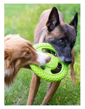 kiwipet-brinquedo-kiwi-walker-cao-frisbee-verde-campo