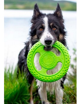kiwipet-brinquedo-kiwi-walker-cao-frisbee-verde-detalhe