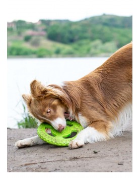 kiwipet-brinquedo-kiwi-walker-cao-frisbee-verde-lago
