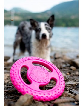 kiwipet-brinquedo-kiwi-walker-cao-frisbee-rosa-detalhe
