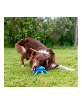 kiwipet-brinquedo-kiwi-walker-cao-polvo-azul-brincadeira