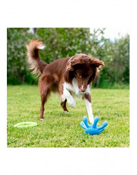 kiwipet-brinquedo-kiwi-walker-cao-polvo-azul-cao