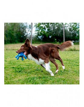 kiwipet-brinquedo-kiwi-walker-cao-polvo-azul-corrida