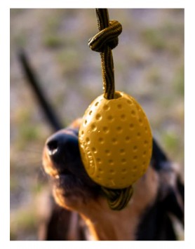 kiwipet-brinquedo-kiwi-walker-cao-egg-laranja-utilizacao