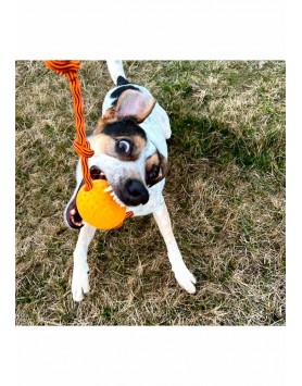 kiwipet-brinquedo-kiwi-walker-cao-egg-laranja-cao