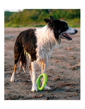kiwipet-brinquedo-kiwi-walker-cao-ring-verde-utilizacao